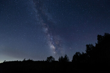 森の向こうに輝く天の川