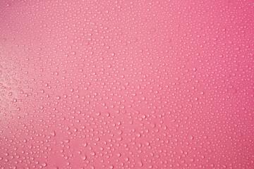 Drops on pink background. Water drops on rose pink tone background. Abstarct purple wet texture with bubbles on red tone. Raindrop close up, pure water droplets condensed for creative banner design.