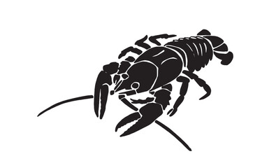 Graphical cancer isolated on white background, seafood element. Vector illustration