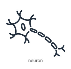 Neuron, nerve cell icon. Logo of neurology science, neurology clinic. Human central nervous system, brain. Vector line illustration isolated on white background.