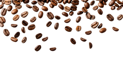Coffee beans isolated on a white background
