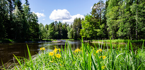 salomon river landscape in spring. Farnebofjarden national park in north of Sweden.