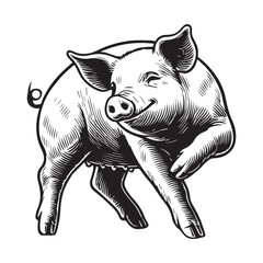 Fototapeta premium Pig Clipart, Hog Outline Logo, A Weaner pig Scratching illustration in black and white