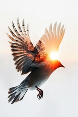 Obraz premium Bird flying with sunset and trees double exposure