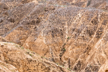 Moon Canyon Almaty, Kazakhstan. Texture of yellow clay with cracks and holes