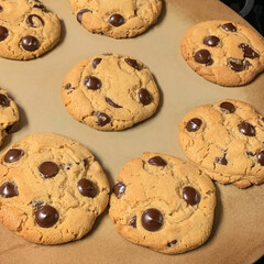 Close-up view of chocolate chip cookies on a stone baking pan.