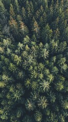 An Al generated row of pine trees. 