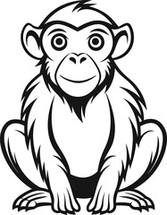 A black and white monkey 