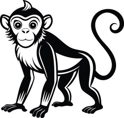 A black and white monkey 