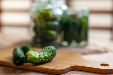 Preparation for fermenting fresh cucumbers by a process of pickling called lactic acid fermentation. 