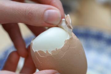 Obierać jajko że skorupki zbliżenie makro © Paweł Kacperek