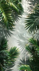 Aerial View of Transparent Overlays with Palm Shadows, Water Ripples, and Sunlight Reflections on a Clear Background &ndash; Ideal for Product Placement