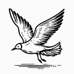 Obraz premium seagull bird