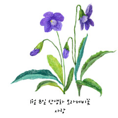 1월8일탄생화 보라제비꽃