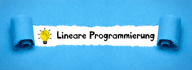 Lineare Programmierung	