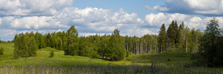 Summer forest landscape. View of the meadow and trees. There are clouds in the sky. Beautiful wide panorama.