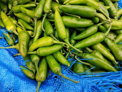 Green chilli chilly pepper vegetable food heap hari mirch, hareemirach, piment vert, spicy grunes chilli, peperoncino verde, capsicum frutescens,  prasino tsili, zelenyy perets, closeup image photo 