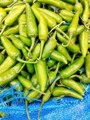 Green chilli chilly pepper vegetable food heap hari mirch, hareemirach, piment vert, spicy grunes chilli, peperoncino verde, capsicum frutescens,  prasino tsili, zelenyy perets, closeup image photo 