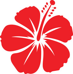 red poppy flower hibiscus flower 