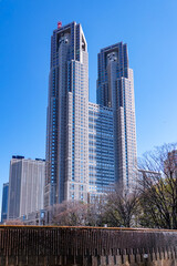 Fototapeta premium 青空にそびえる東京都庁舎（東京都新宿区）