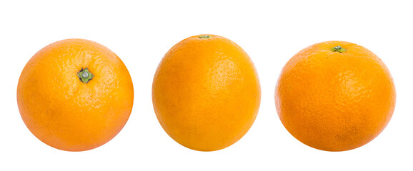 Set of citrus fruits isolated on white background