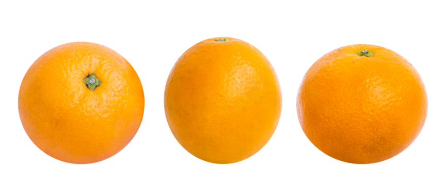 Set of citrus fruits isolated on white background