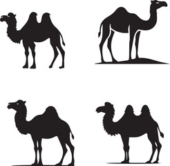 camel silhouette, camel icon, camel vector, 