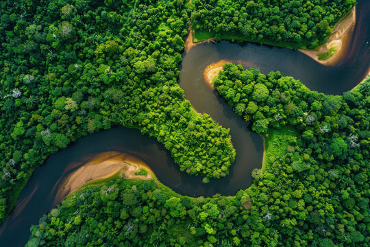 horizontal aerial drone image of a tropical river flowing through a rainforest, dark water and lush vegetation