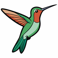 Obraz premium Broad-tailed Hummingbird Art vector illustration