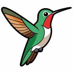 Obraz premium Broad-tailed Hummingbird Art vector illustration