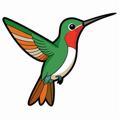 Obraz premium Broad-tailed Hummingbird Art vector illustration