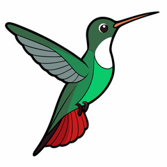 Broad-tailed Hummingbird Art vector illustration