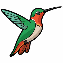 Obraz premium Broad-tailed Hummingbird Art vector illustration
