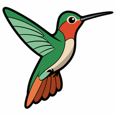Obraz premium Broad-tailed Hummingbird Art vector illustration
