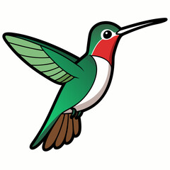 Obraz premium Broad-tailed Hummingbird Art vector illustration