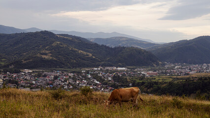 Gently pink sunset with the setting sun behind the mountains