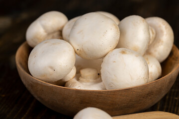fresh, not cooked mushrooms, white champignons