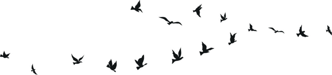 Flying birds silhouette set clipart isolated on white background