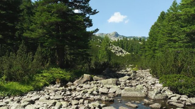 Drone video of the beauty of the Pirin National Park in Bulgaria, flying laterally at low altitude in the mountainous landscape.