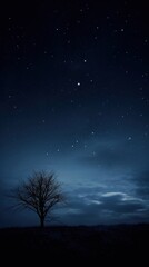 Fototapeta premium Night sky outdoors nature constellation.