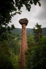 Extraordinary Rock Formation Standing Tall Among Lush Green Forest
