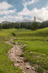 Serene Mountain Valley in Early Afternoon With Flowing Stream and Lush Green Grass