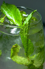 mojito cocktail in a glass with mint macro photo