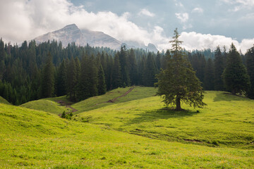 Lush Green Hillsides Under Soft Clouds Near Majestic Mountain Peaks at Dawn