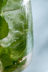 mojito cocktail in a glass with mint vertical macro photo