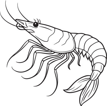 recommend clip art: prawn line art vector