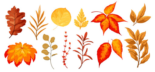 A set of bright autumn leaves and twigs on a white background. Vector illustration.
