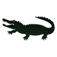 Obraz premium a Crocodile, alligator vector silhouette, 