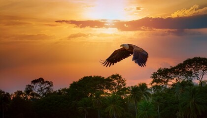 Fototapeta premium sunset in the Mountain Sunset Soar: An Eagle’s Majesty Over the Painted Sea