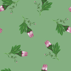 Chrysanthemum Flower Seamless Pattern. Hand Drawn Floral Digital Paper on Light Green Background.